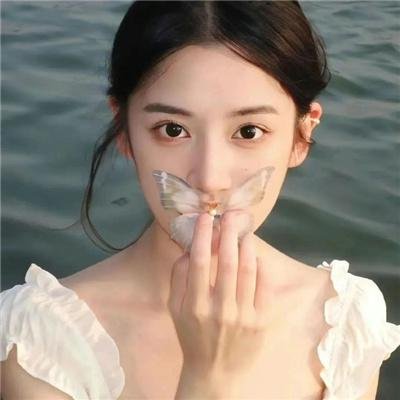 档案风暴